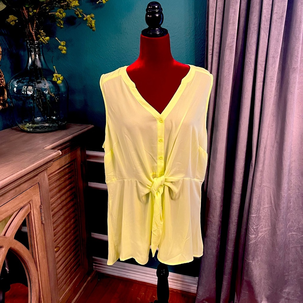 Torrid Sheer top